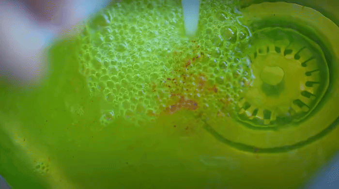 Colorant traceur versé dans une évacuation
